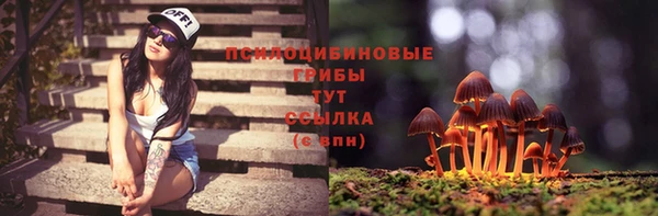 спиды Алексин
