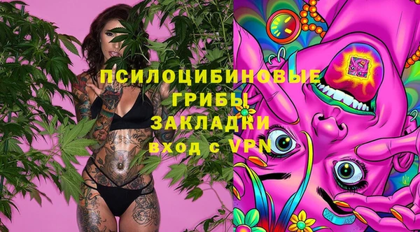 спиды Алексин