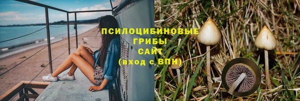 соль ск Алзамай