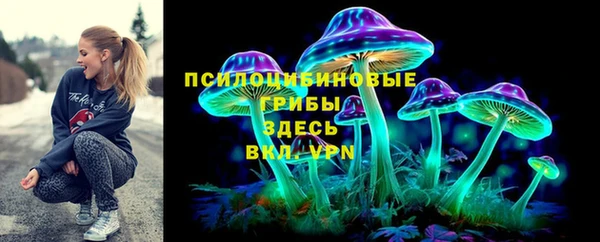 спиды Алексин